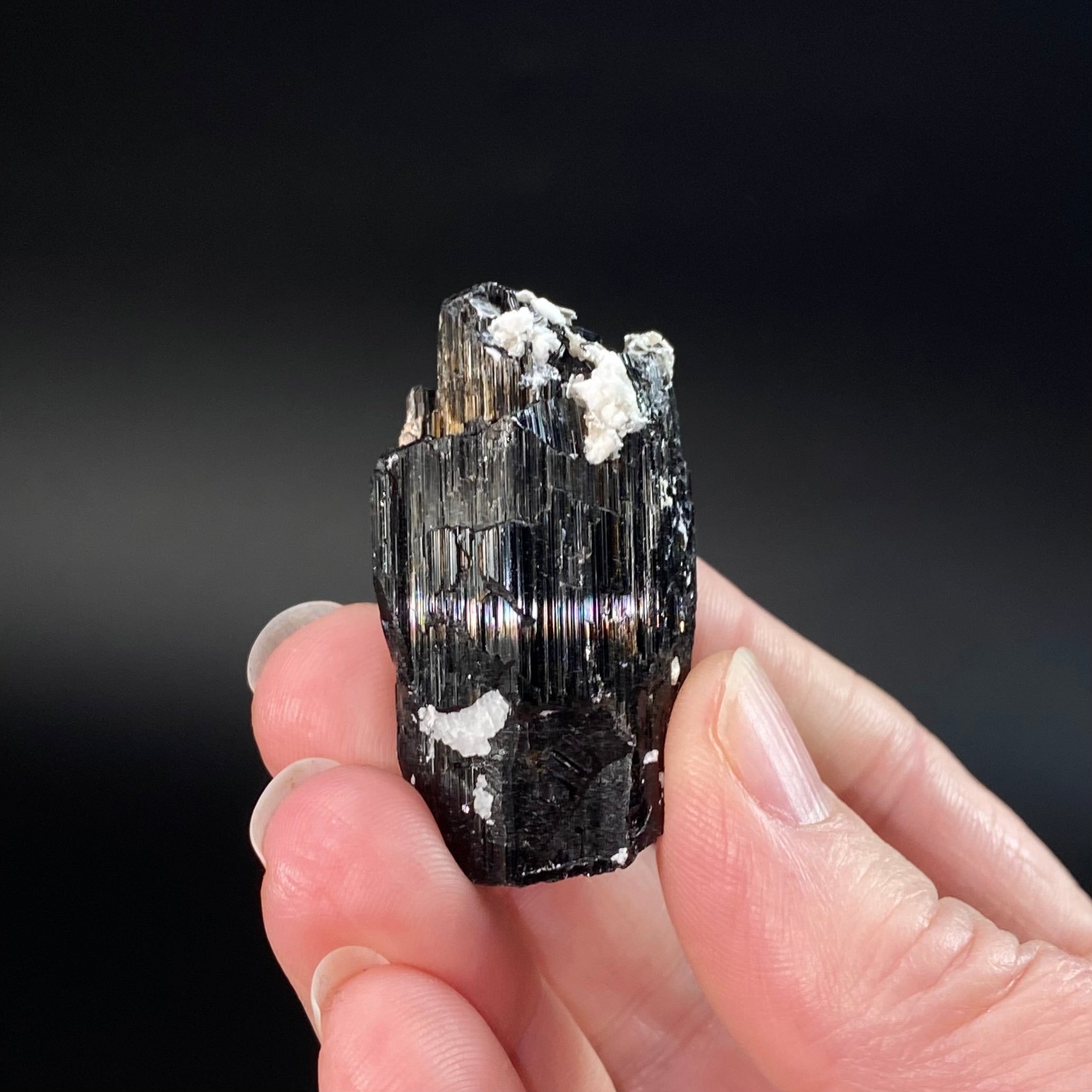 Etched Black Tourmaline Schorl with Mica