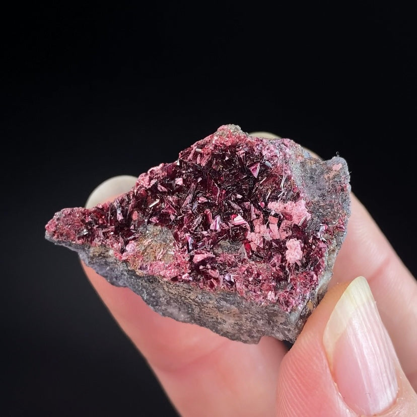 Deep Red Erytherite Crystals on Matrix, Bou Azzer District, Morocco