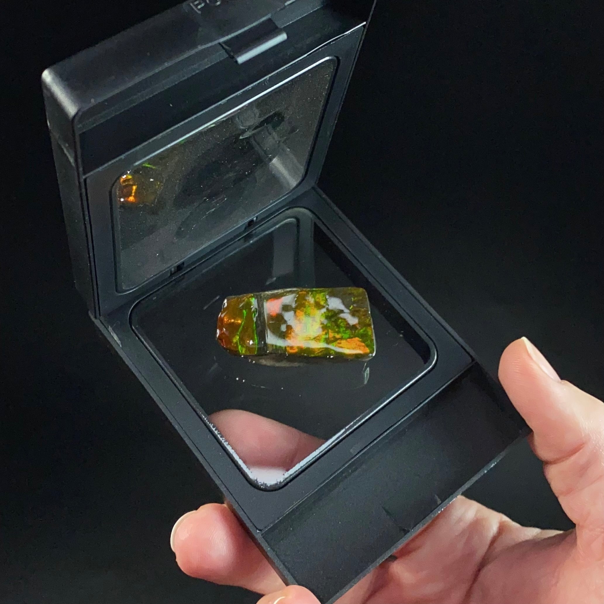 Canadian Korite Ammolite Hand Specimen in Display Box