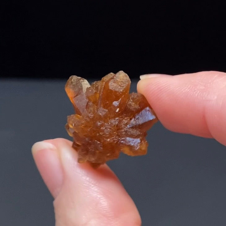 Floater Citrine Colored Honey Brown Quartz Flower Cluster - Midelt, Morocco