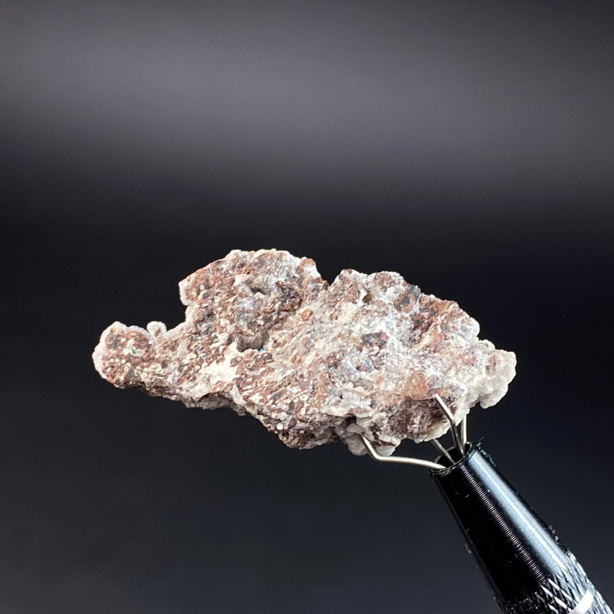 Vibrant Blue Pentagonite Cluster on Druzy Stilbite & Basalt Matrix