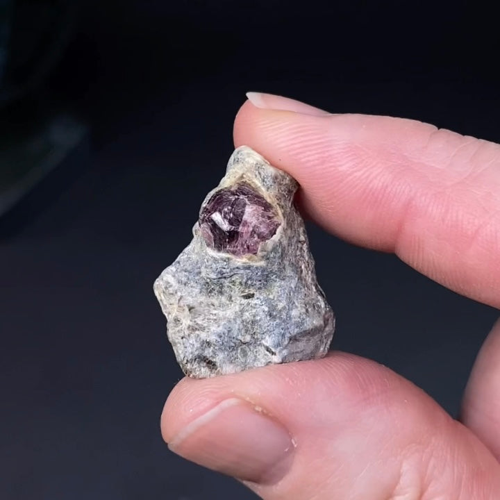 Red Garnet Crystal on Mica Schist Specimen from Pakistan