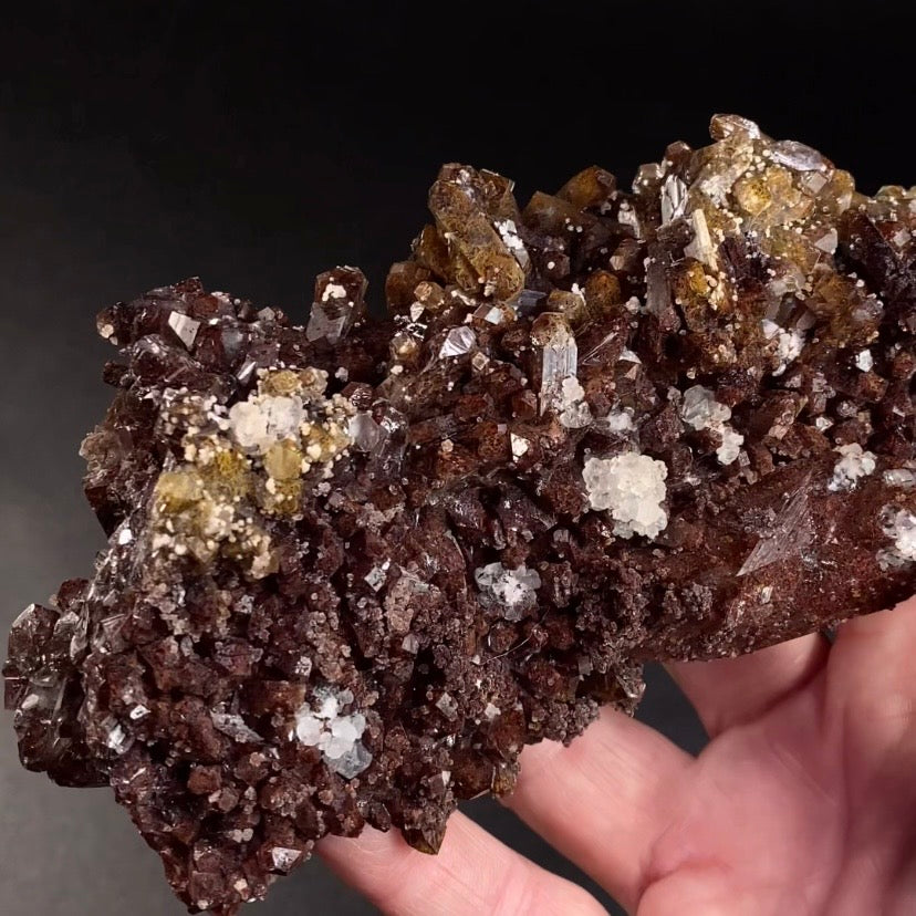 Chocolate Marshy Apophyllite Cluster with Chalcedony from Jalgaon, Maharashtra, India - Natural Crystal Cluster