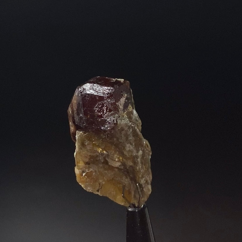 Garnet Crystal on Mica