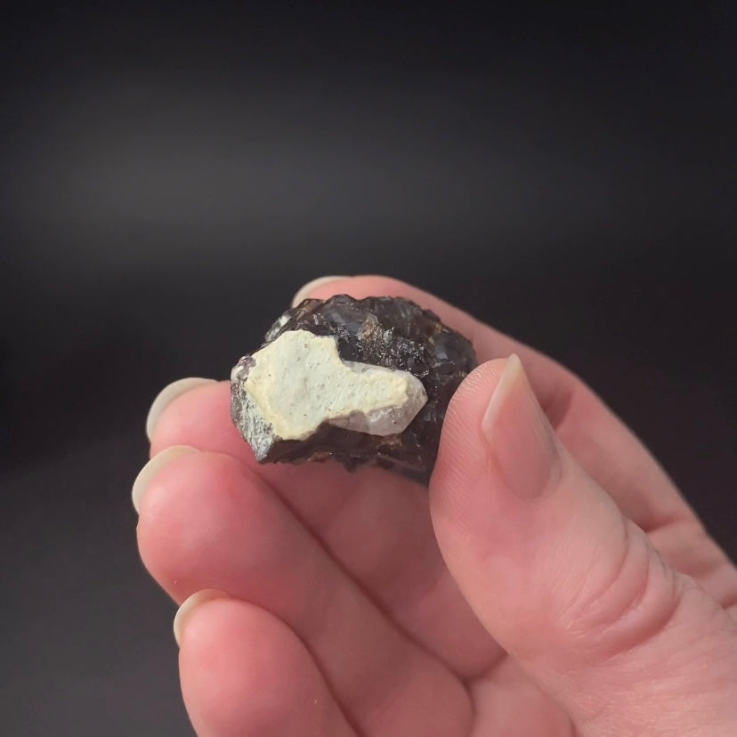 Andradite Garnet Cluster from Balochistan, Pakistan