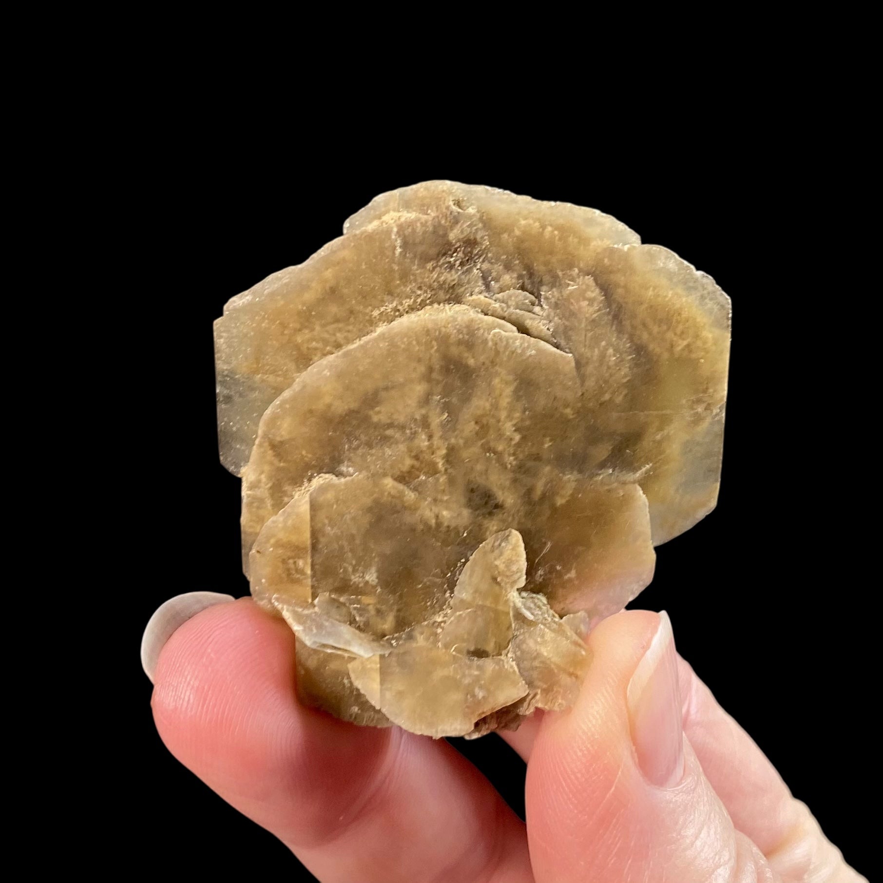 Gypsum var. Selenite Desert Rose Sand Crystal Dollar, Fluorescent & Phosphorescent