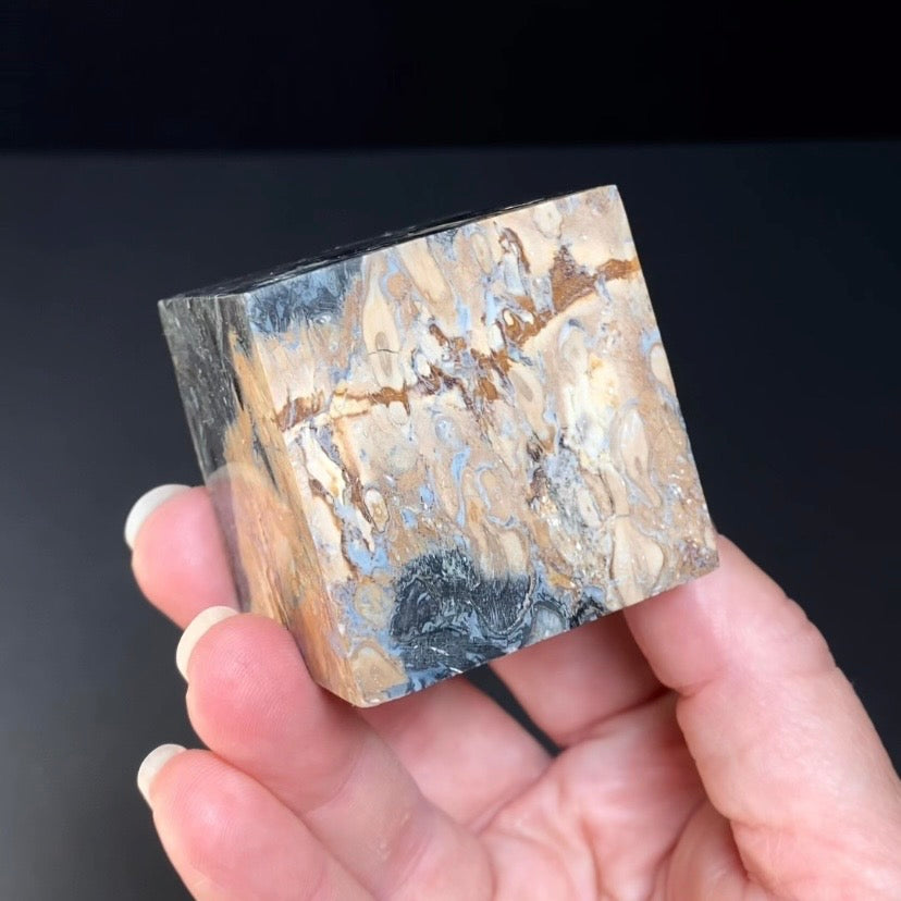 Fossilized Palm Root Ball Polished Cube from Sumatra, Indonesia