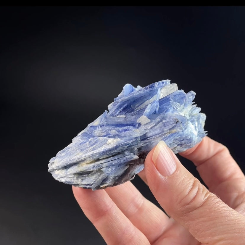 Blue Kyanite and Quartz Specimen from Minas Gerais, Brazil