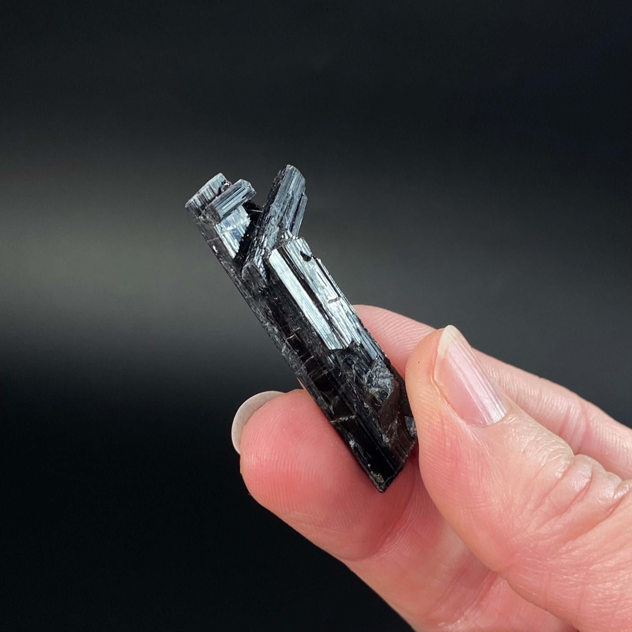 Black Tourmaline Schorl Crystal Cluster from Shigar Valley, Pakistan