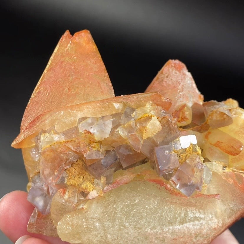 Scalenohedral Dog Tooth Calcite Crystal Cluster with Blue Gray Fluorite