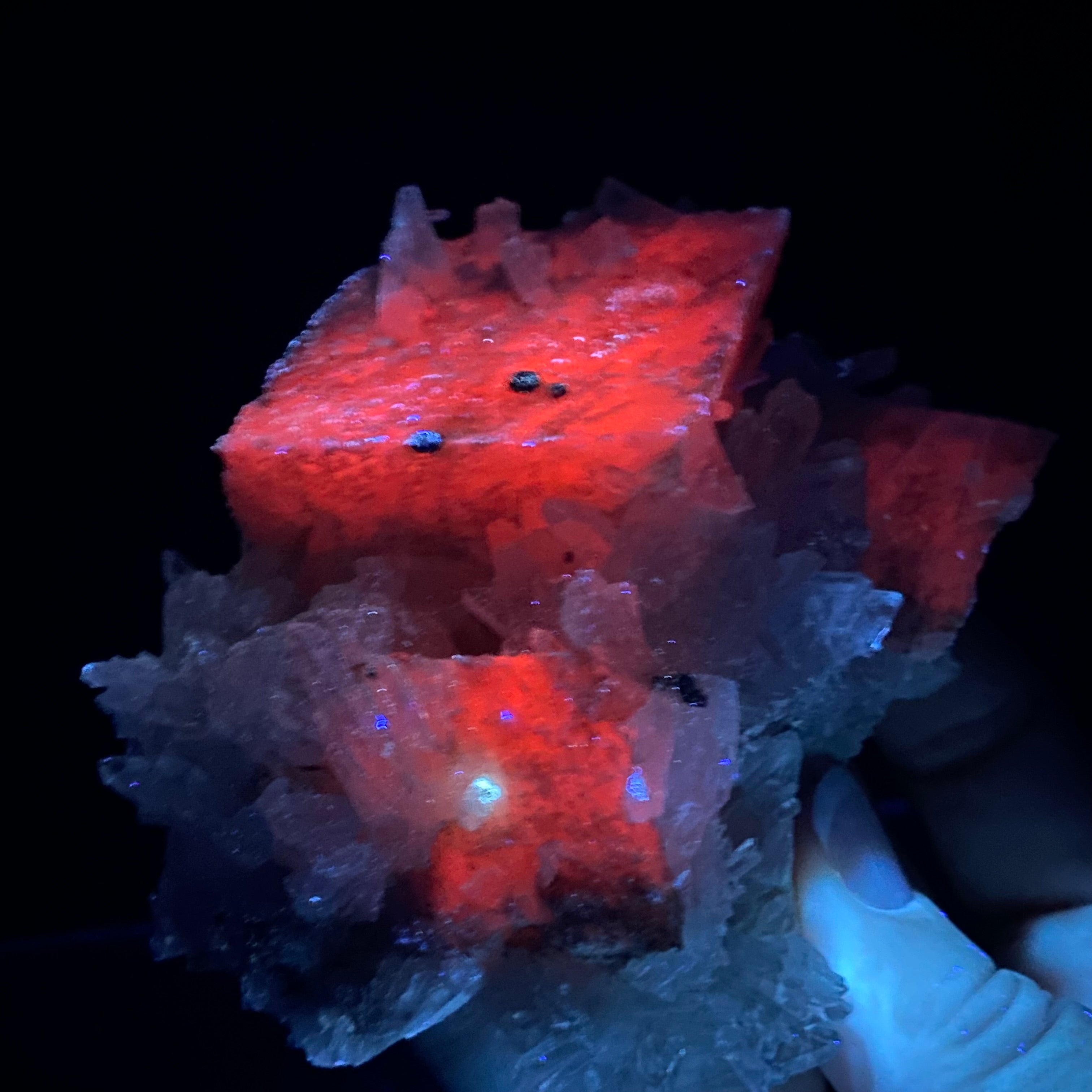 Fluorescent Rhombic Mangano Calcite with Clear Quartz from Trepca Mine Complex, Kosovo