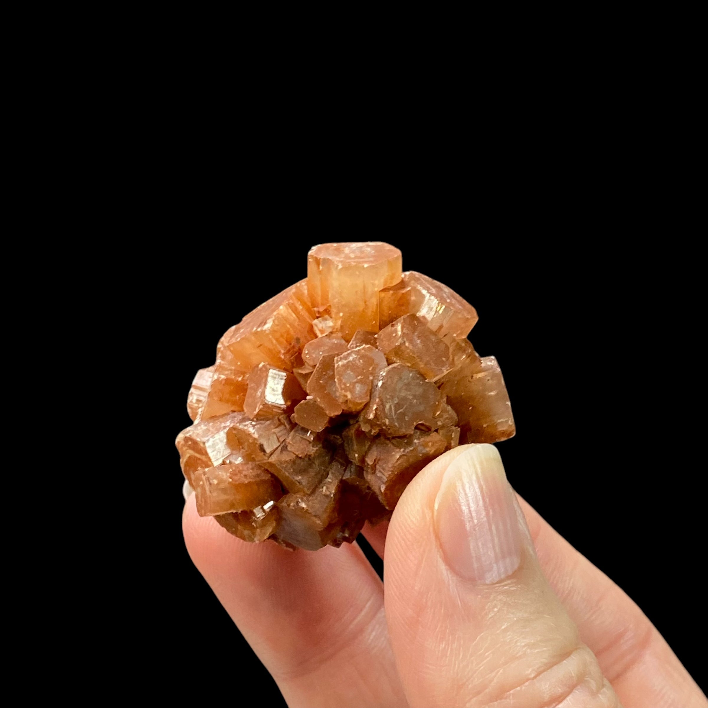 Aragonite Sputnik Cluster, Minerals of Morocco