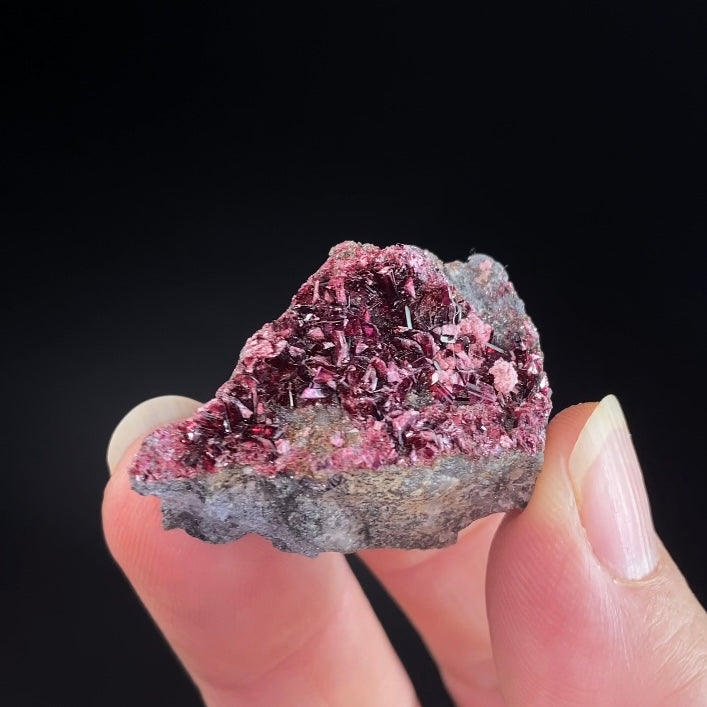 Deep Red Erytherite Crystals on Matrix, Bou Azzer District, Morocco