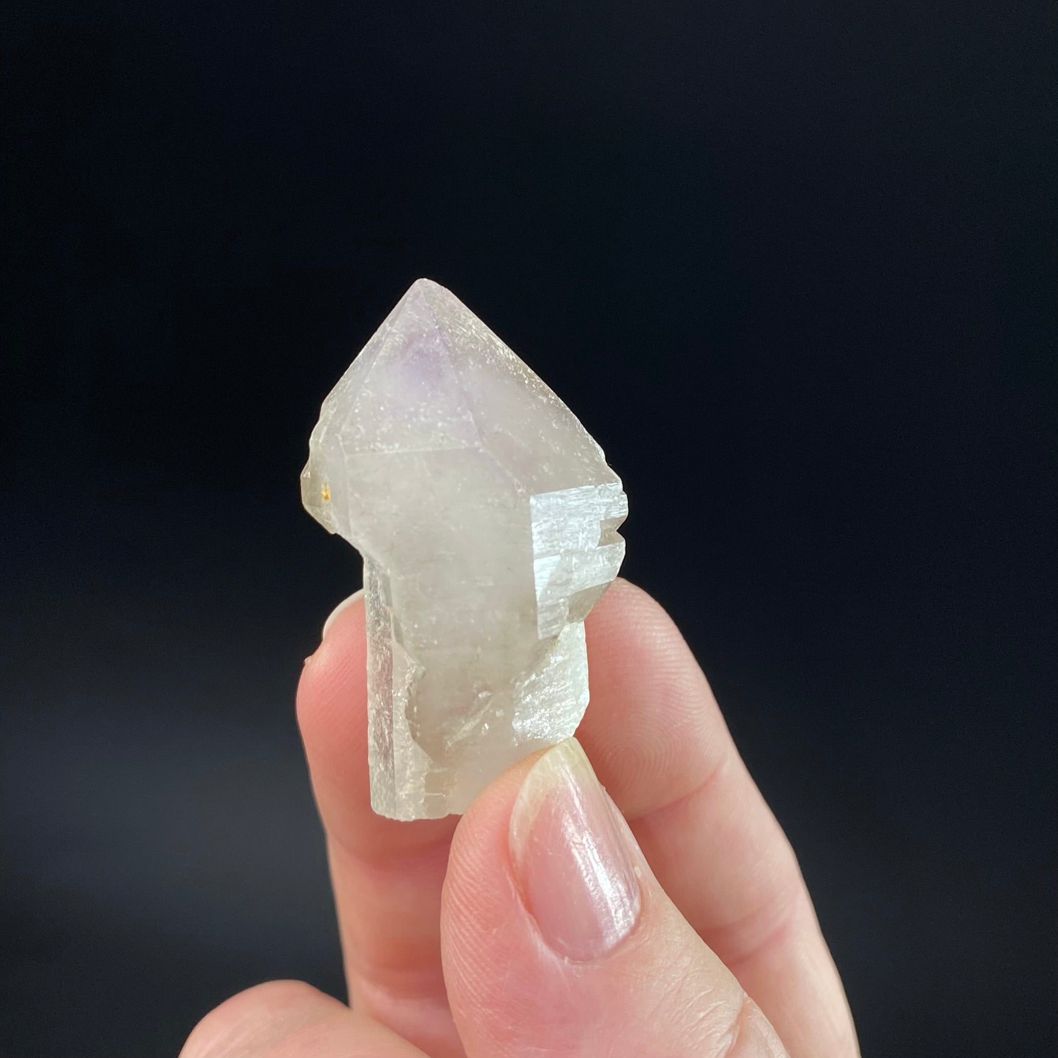 Light Smoky Amethyst Generator  Scepter Crystal with Record Keepers