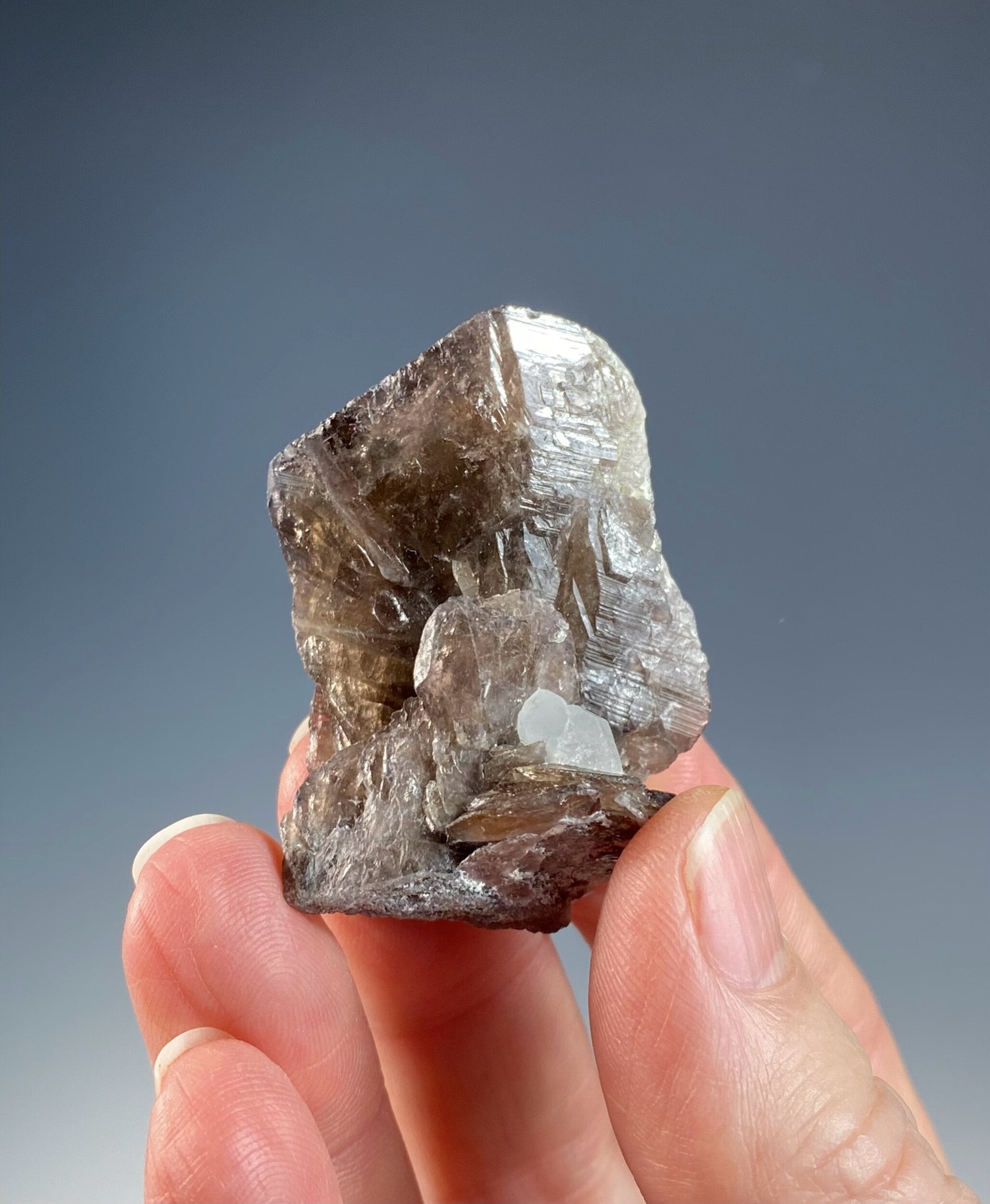 Axinite Crystal with Quartz from Shigar Valley, Gilgit-Baltistan, Pakistan