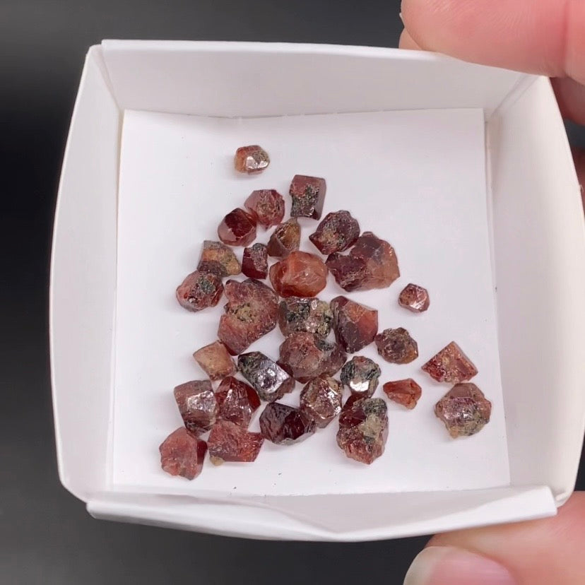 Zircon Crystal 10 Gram Lot with Yellow Fluorescent Apatite Inclusions