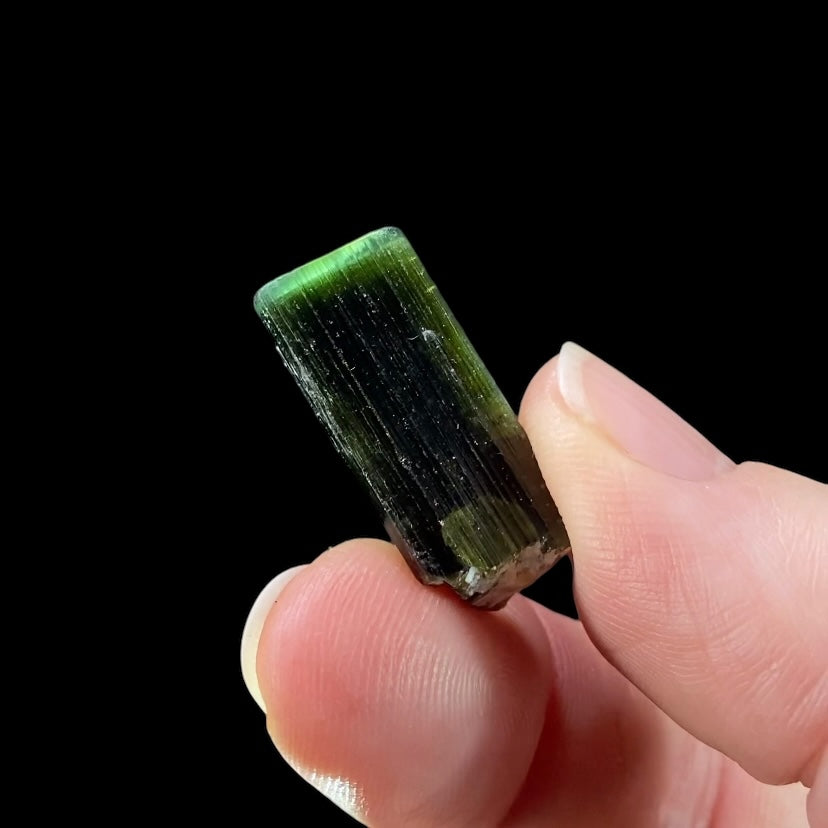 Terminated Bi Color Green Tourmaline Crystal from Shigar Valley, Pakistan