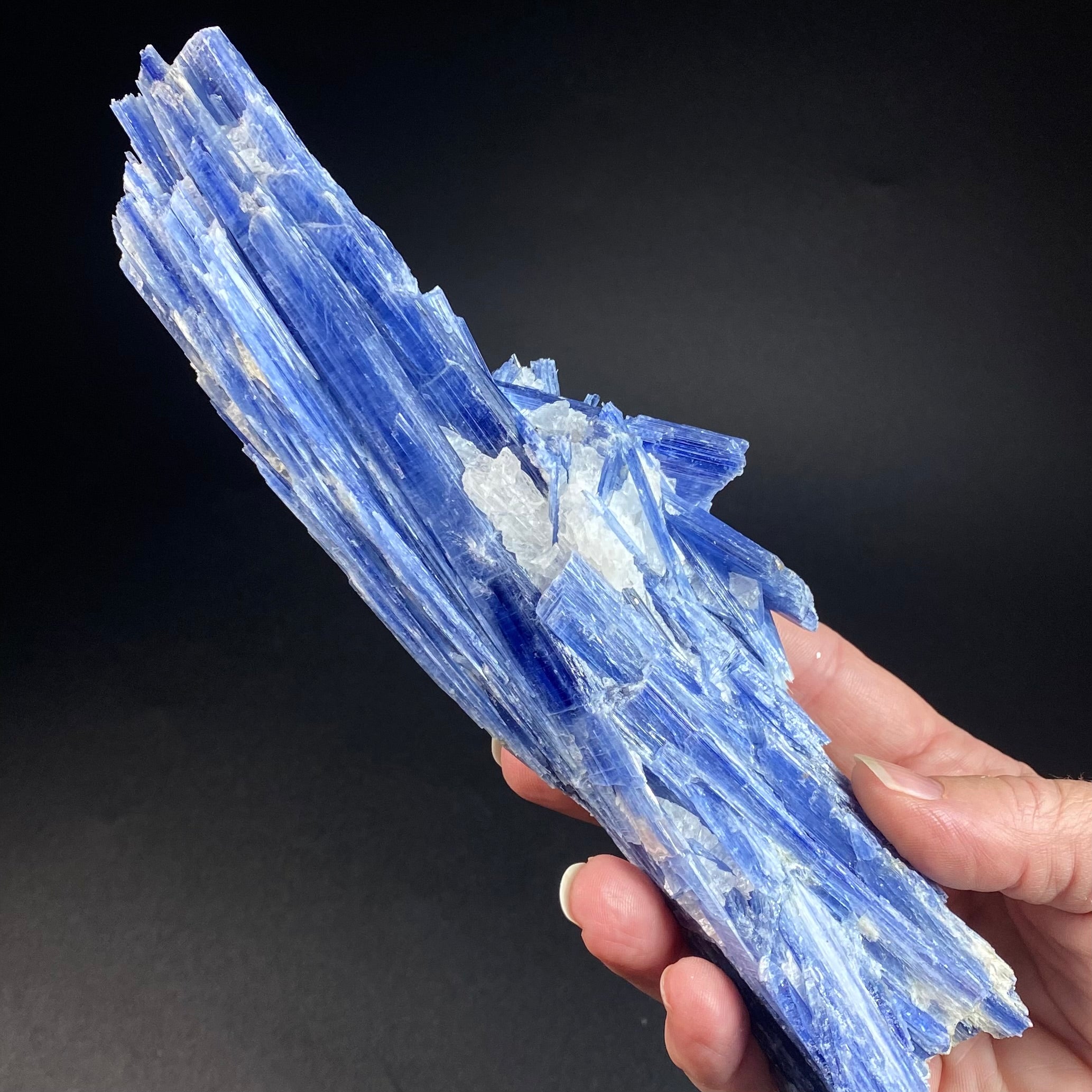 Blue Kyanite and Quartz Specimen from Minas Gerais, Brazil