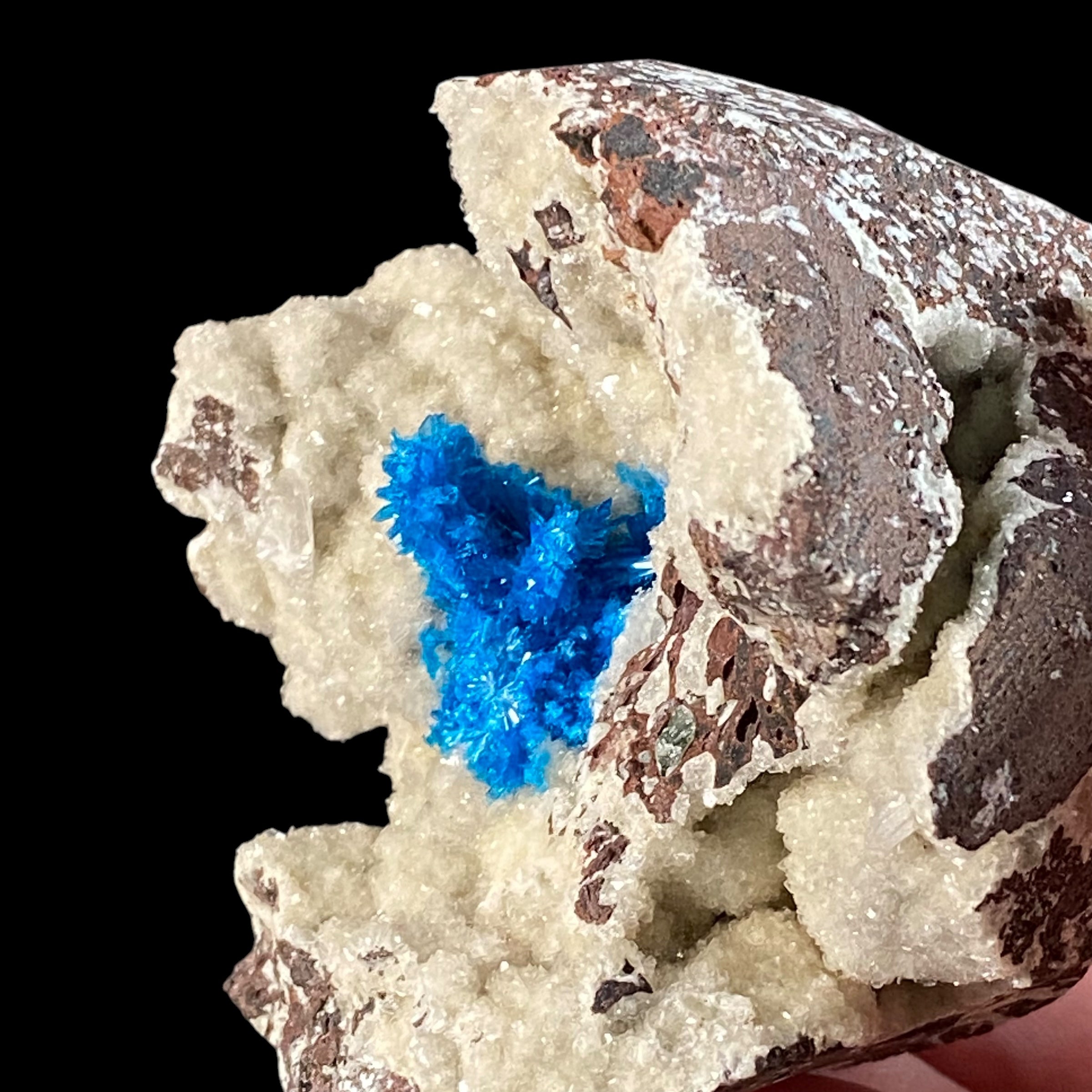 Vibrant Blue Pentagonite Cluster on Druzy Stilbite & Basalt Matrix