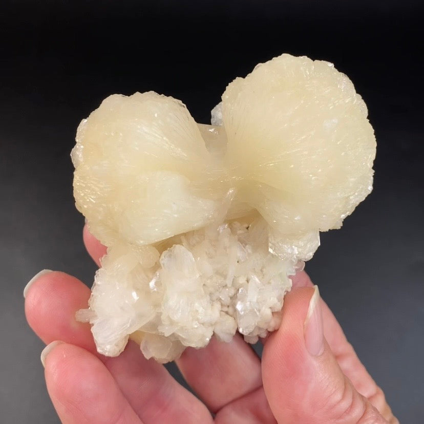 Stilbite Bow Tie Cluster with Stilbite Blades on Matrix