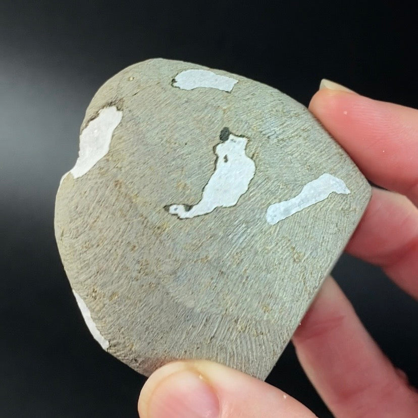 Scolecite with Apophyllite & Stilbite in Trimmed Basalt Geode Pocket