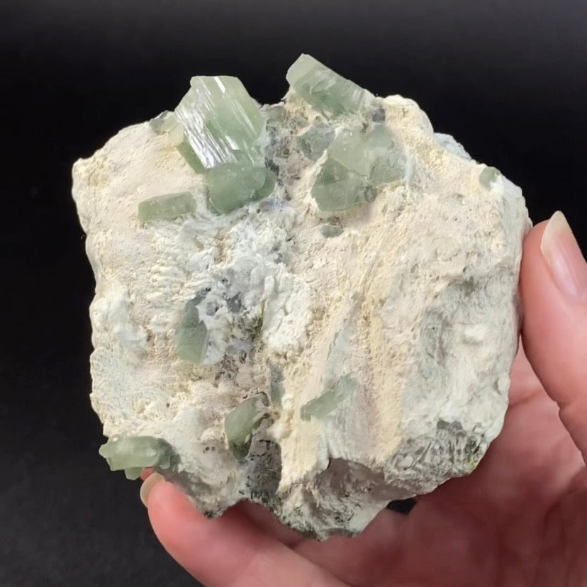 Chlorite Included Pericline Albite Crystals on Matrix