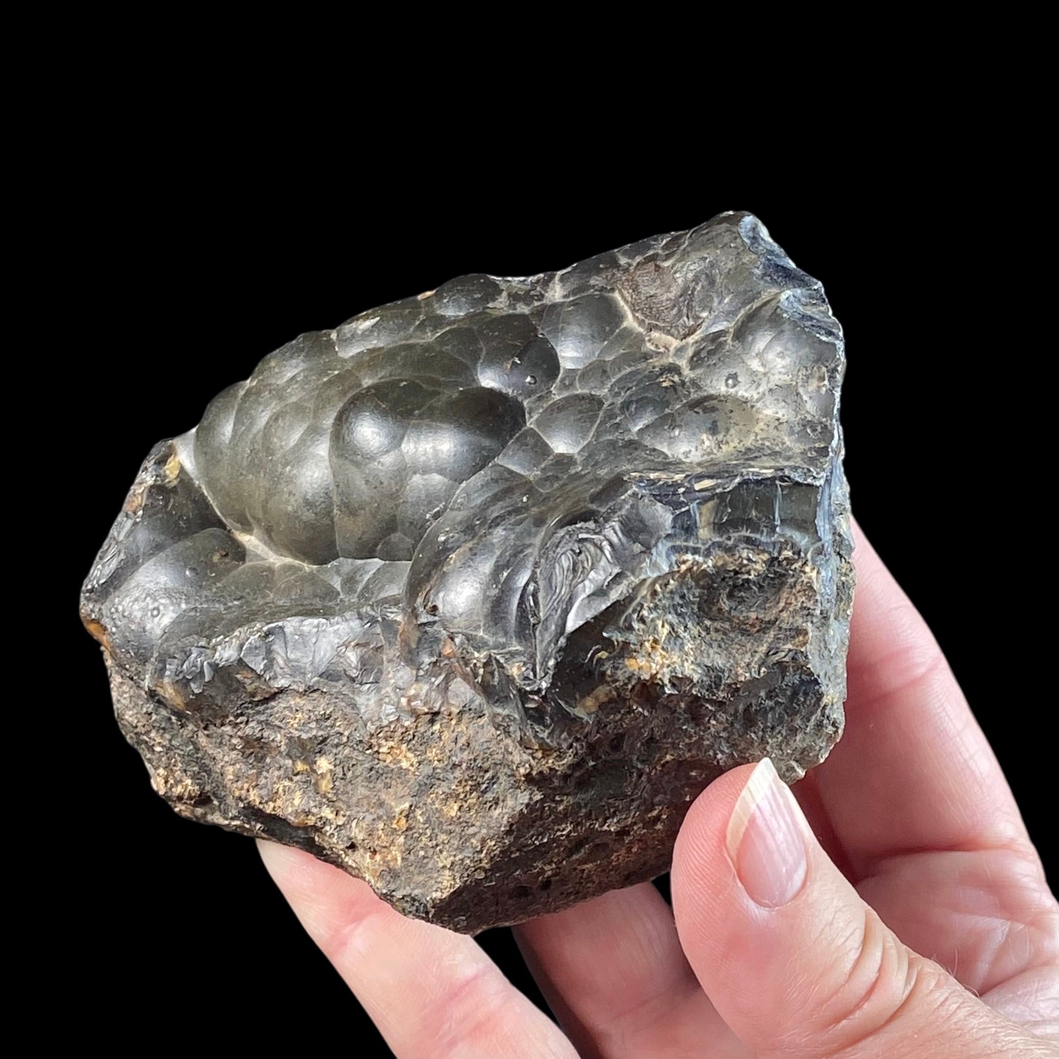 Botryoidal Agate with Hematite & Goethite