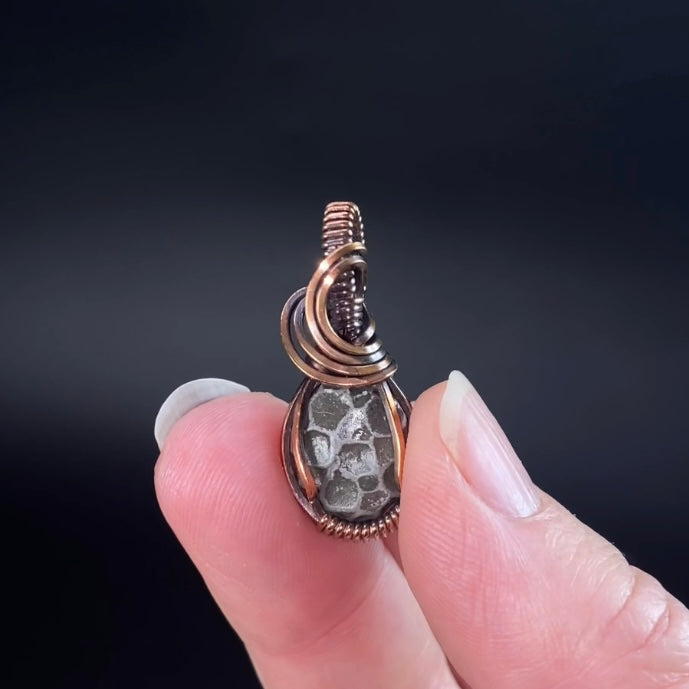 Fossilized 380 Million Year Old Pleurodictyum Coral & Copper Wire Wrapped Pendant