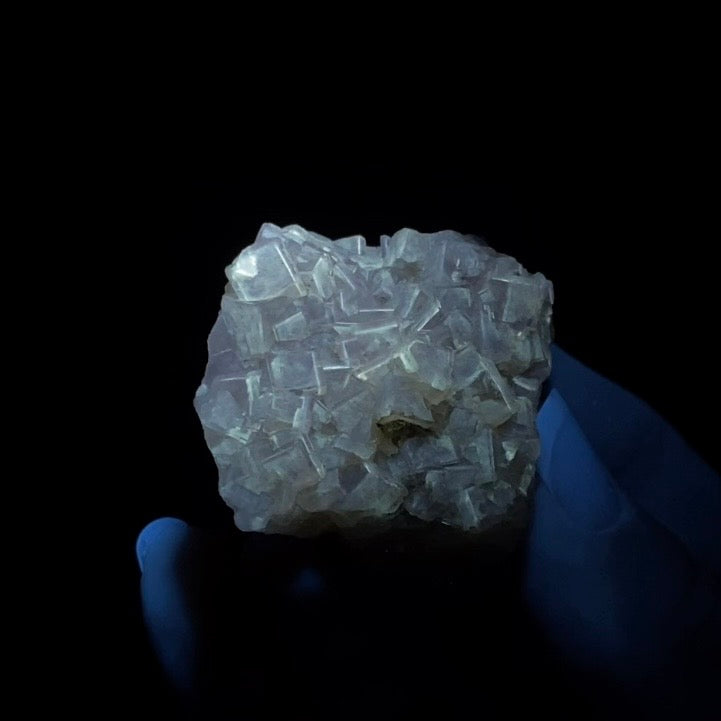 Yellow Moscona Cubic Fluorite Cluster from Asturias Spain - Phosphorescent