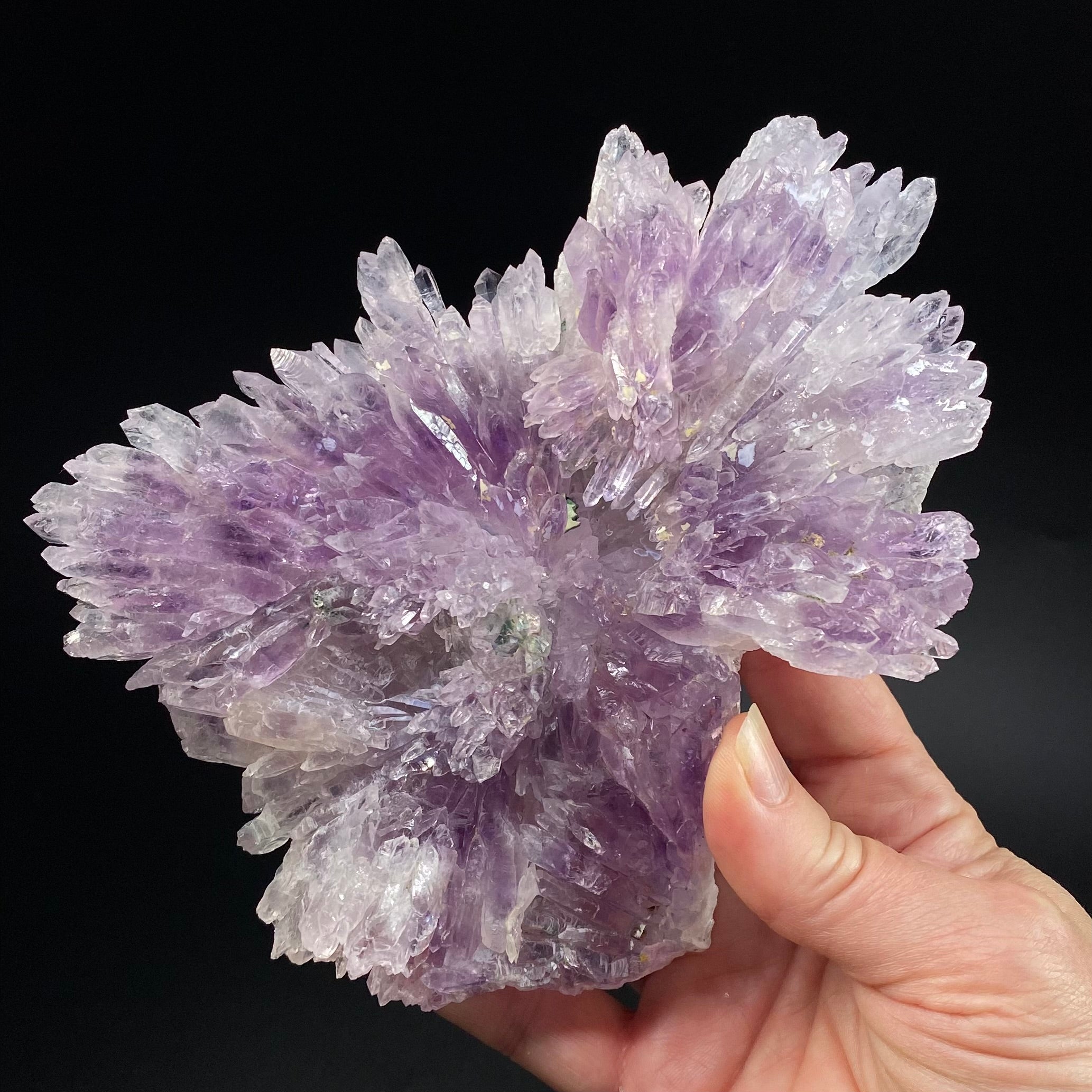 Amethyst Crystal Flower from Ametista do Sul, Brazil