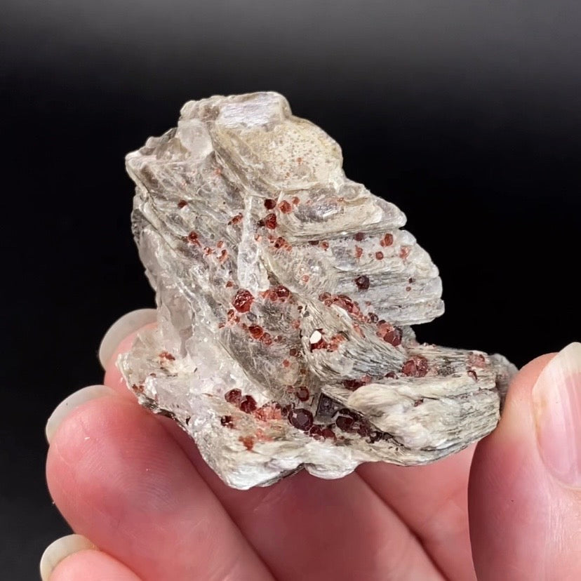 Spessartine Garnets on Muscovite Mica, Shigar Valley, Pakistan