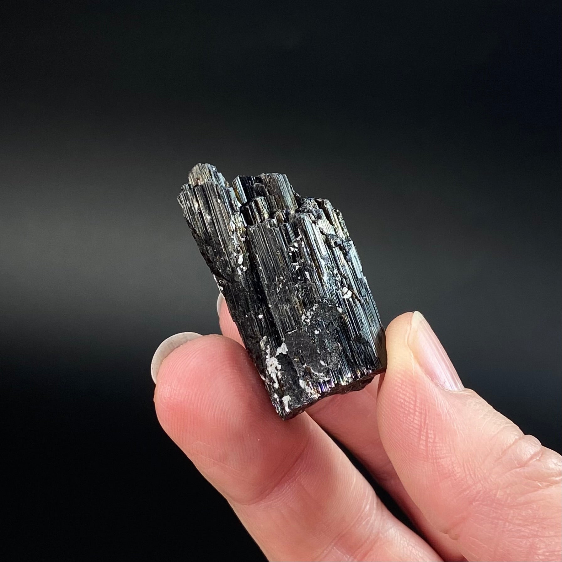 Etched Black Tourmaline Schorl Crystal