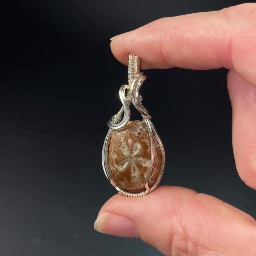 Hemiaster Sea Urchin Fossil and Sterling Silver Wire Wrapped Pendant