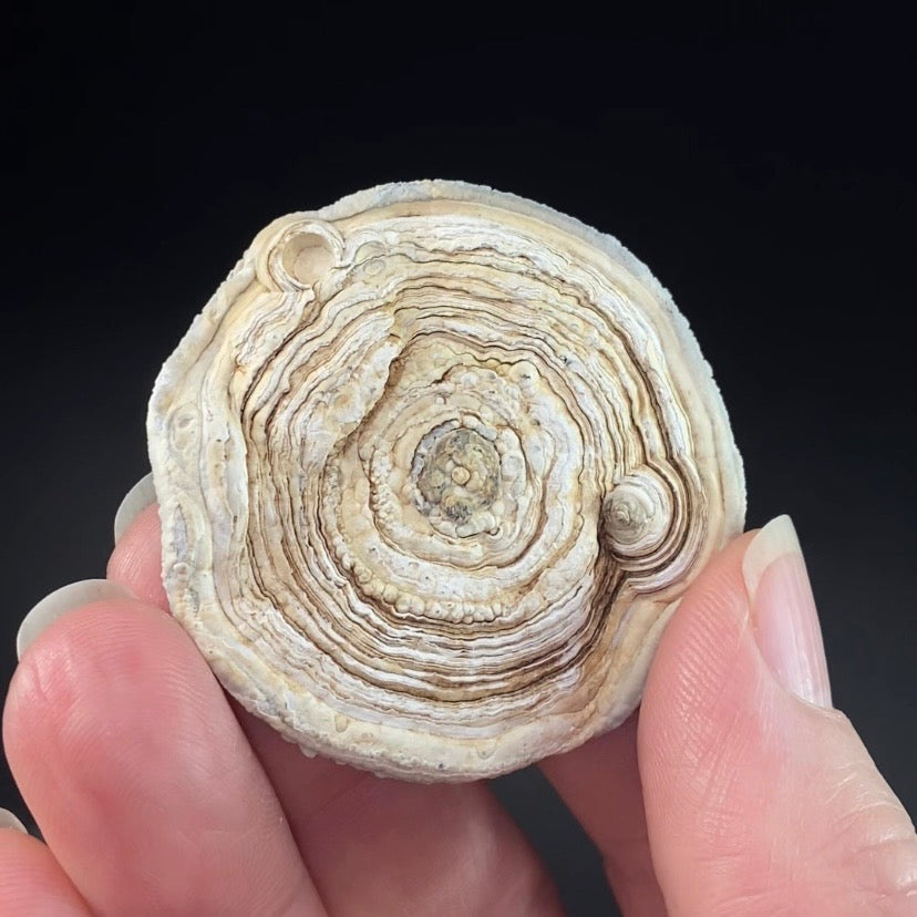 Druzy Chalcedony Concretion from Rio Grande do Sul, Brazil