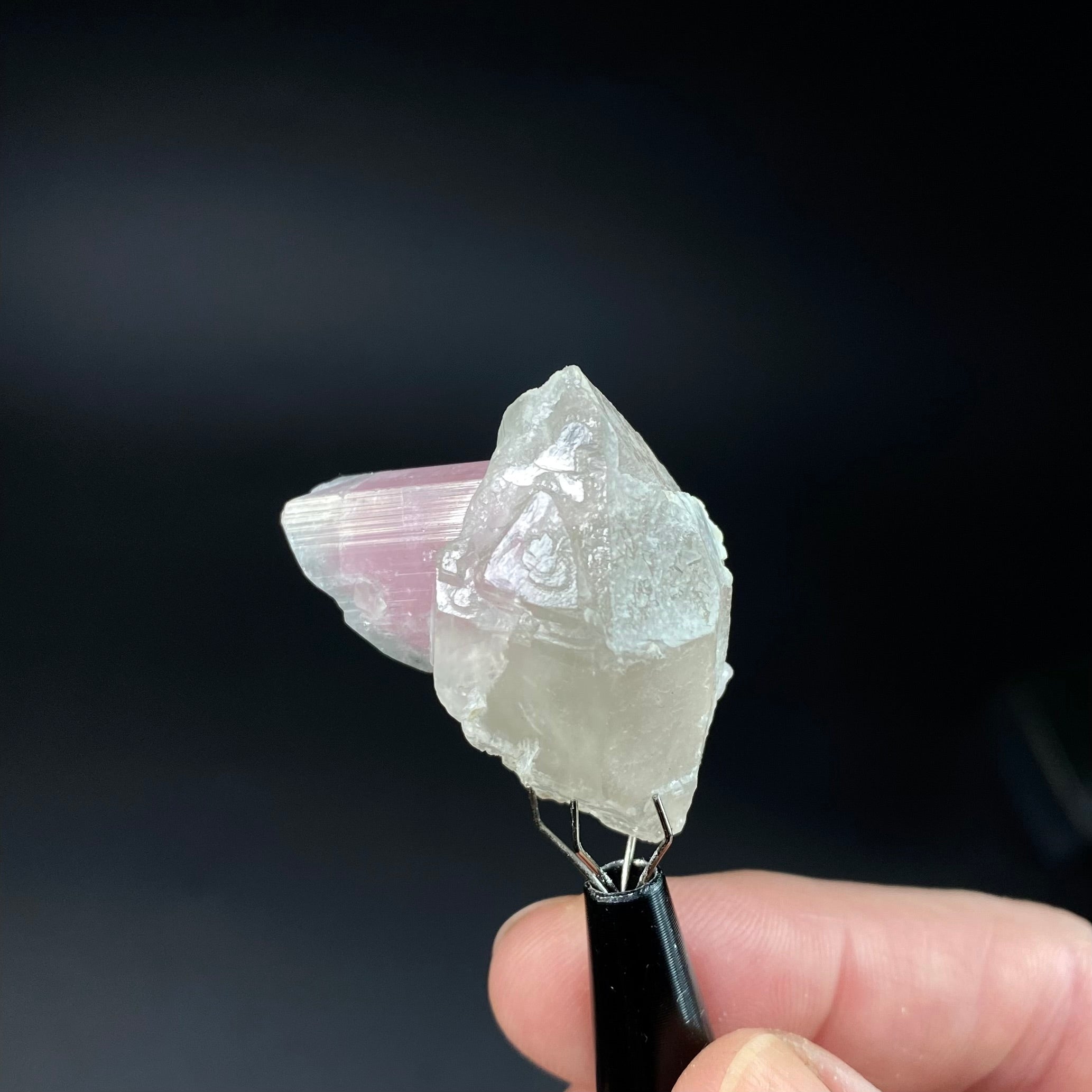 Bicolor Pink & Green Tourmaline on a Light Smoky Quartz Crystal