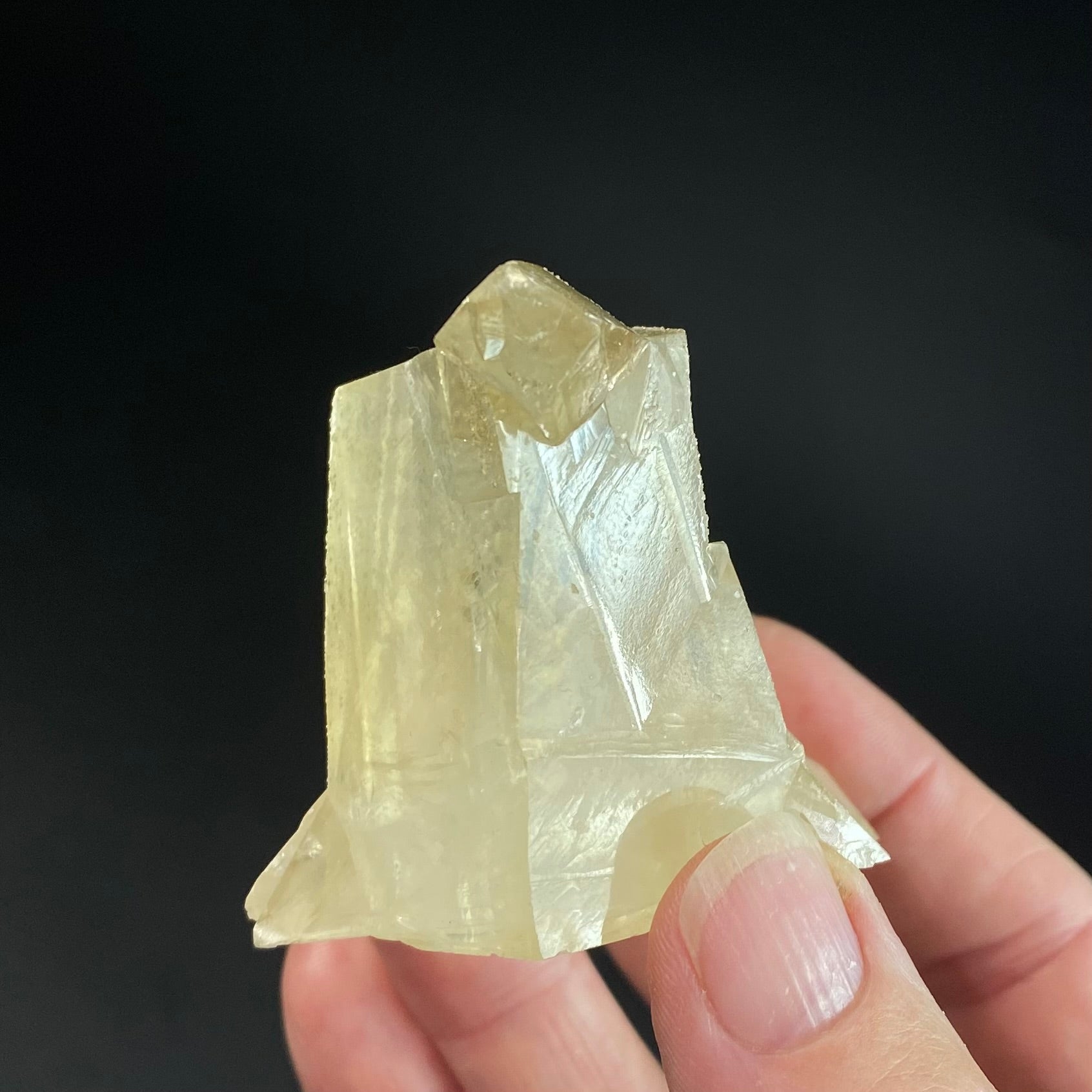 Golden Calcite Crystal Cluster with Druzy Clear Apophyllite