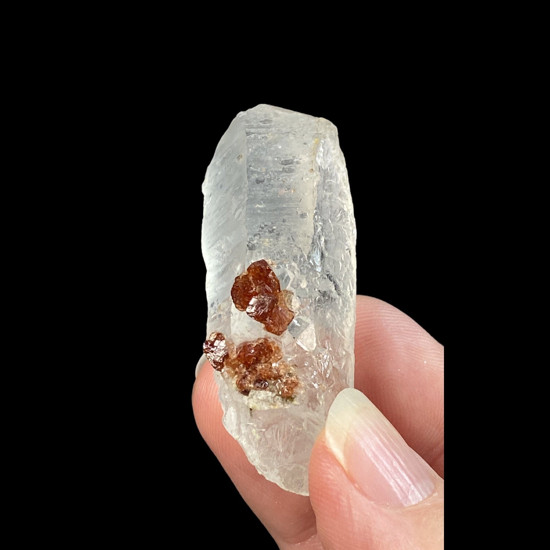 Garnet Crystals on Quartz