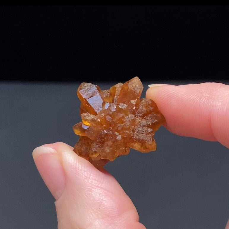 Floater Citrine Colored Honey Brown Quartz Flower Cluster - Midelt, Morocco