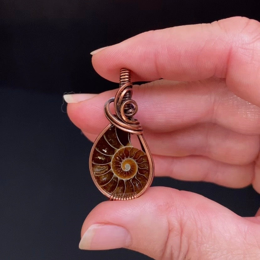 Polished Ammonite Fossil & Copper Wire Wrapped Pendant
