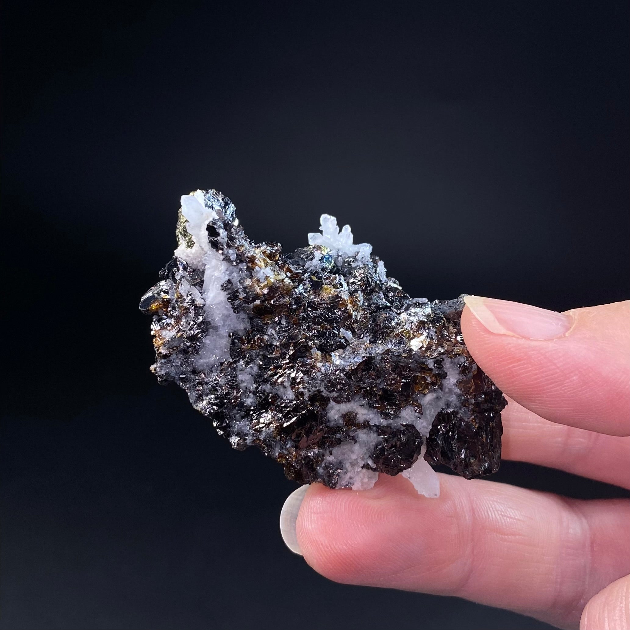 Sphalerite, Quartz Crystals, and Pyrite Combination Piece from Kosovo