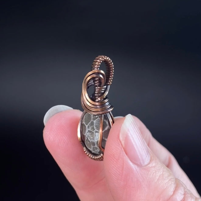 Fossilized 380 Million Year Old Pleurodictyum Coral & Copper Wire Wrapped Pendant