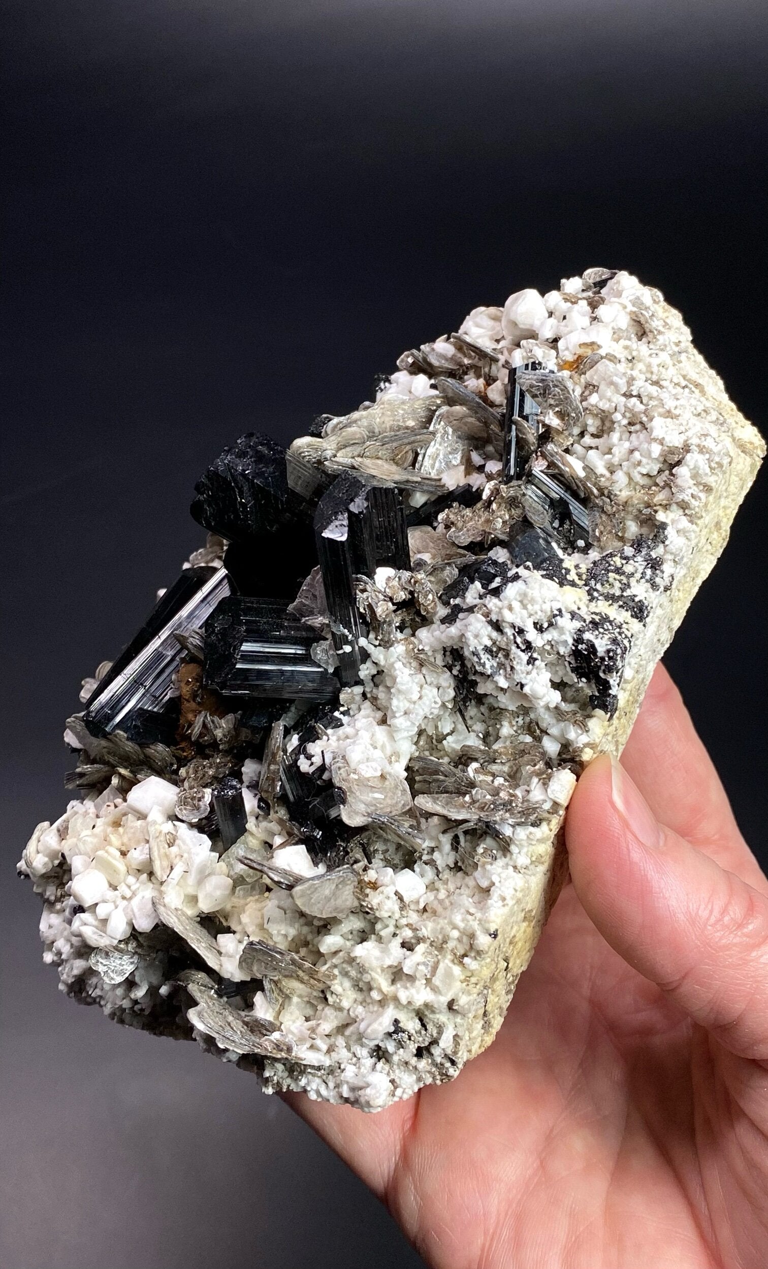 Natural Black Tourmaline Crystals Terminated with Feldspar and deals Mica Specimen (S1)