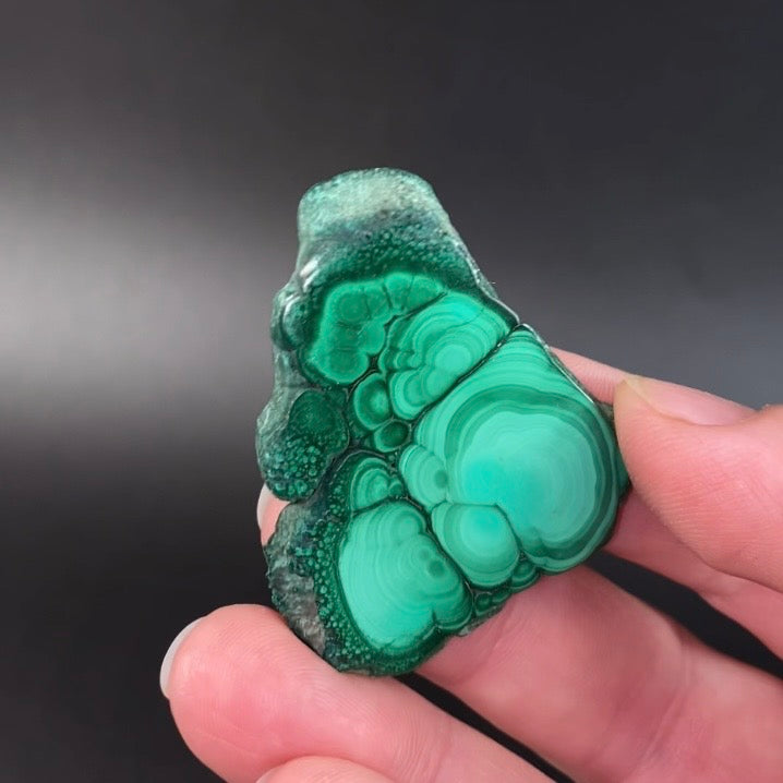 Malachite Polished Slice, Kolwezi, DR Congo