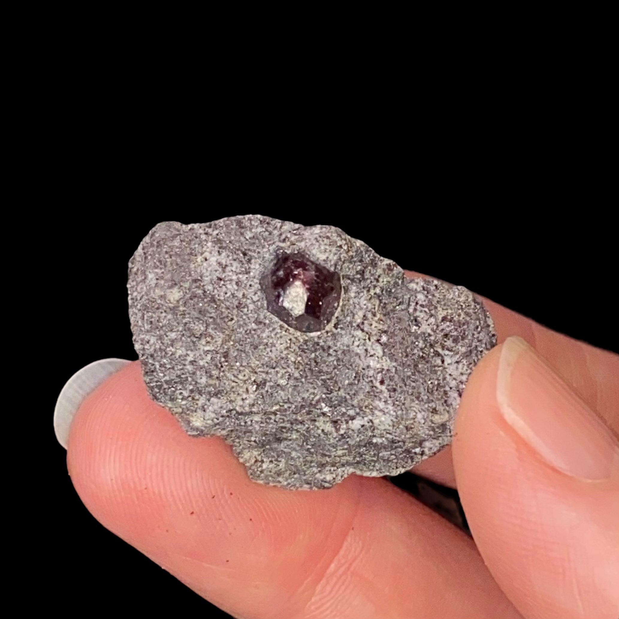 Almandine Garnet in Mica Schist, From the Famous Garnet Ledge, Wrangell, Alaska