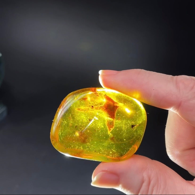 Polished Amber with Inclusions from Cimitarra, Colombia