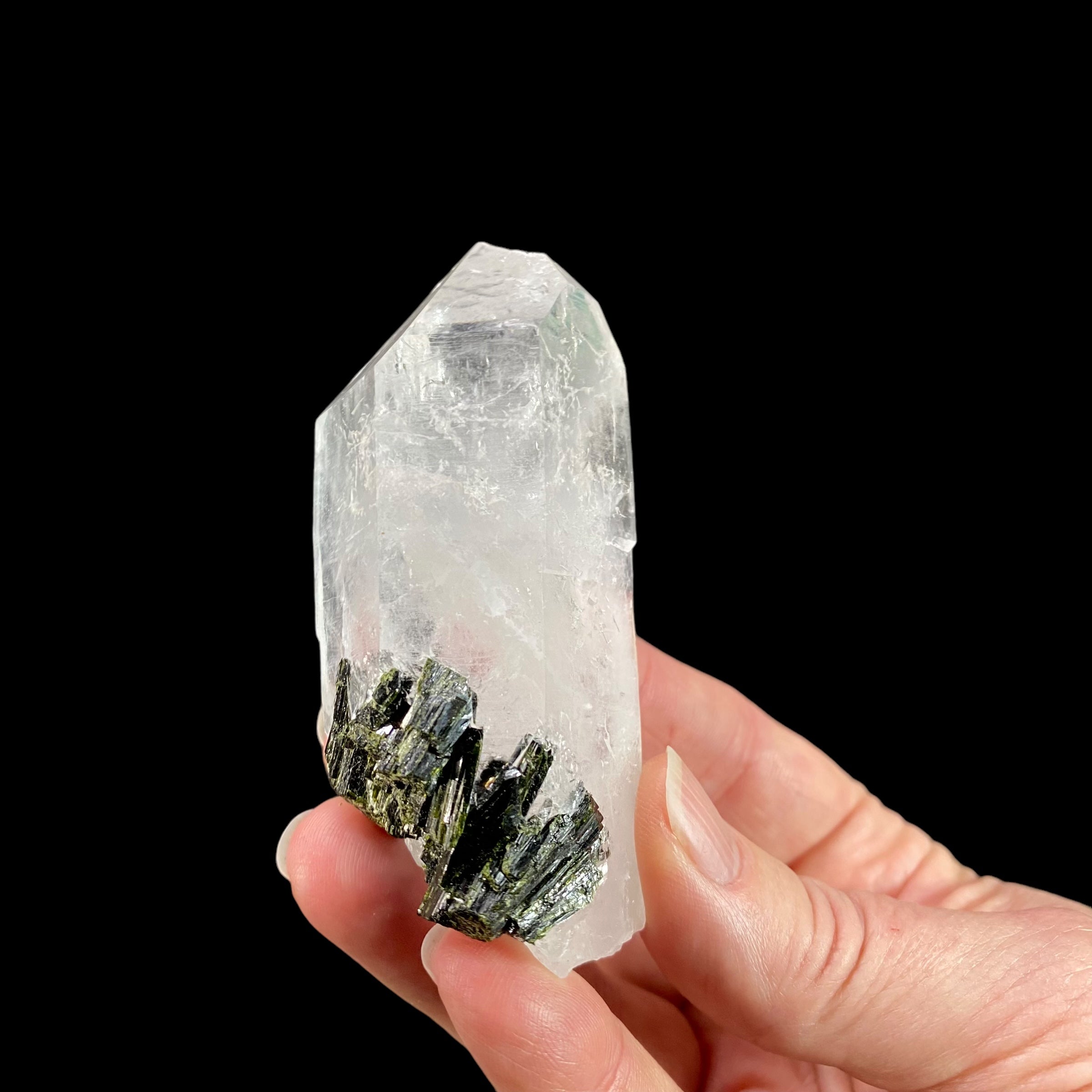 Quartz Crystal with Dark Green Epidote Crystals