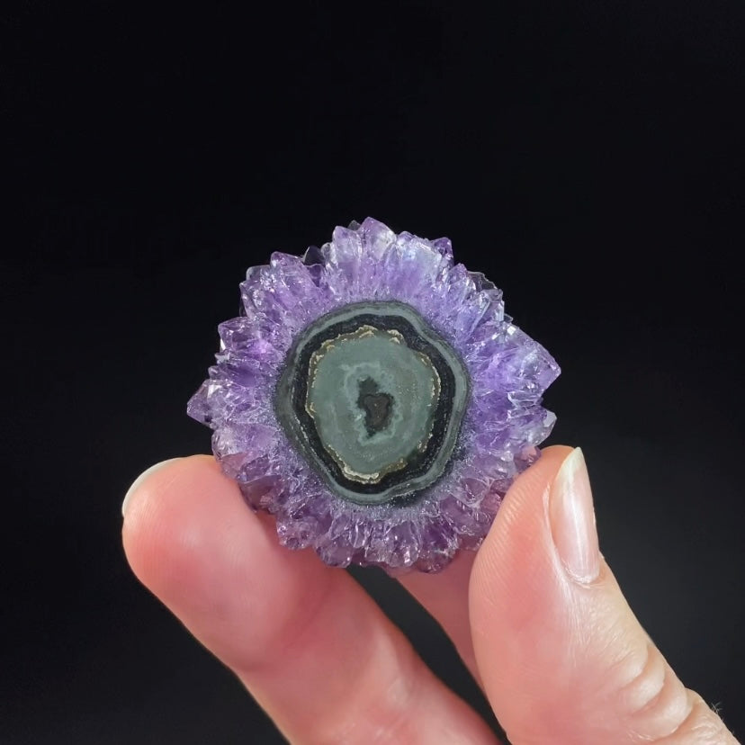 Amethyst Stalactite Slice from Artigas, Uruguay