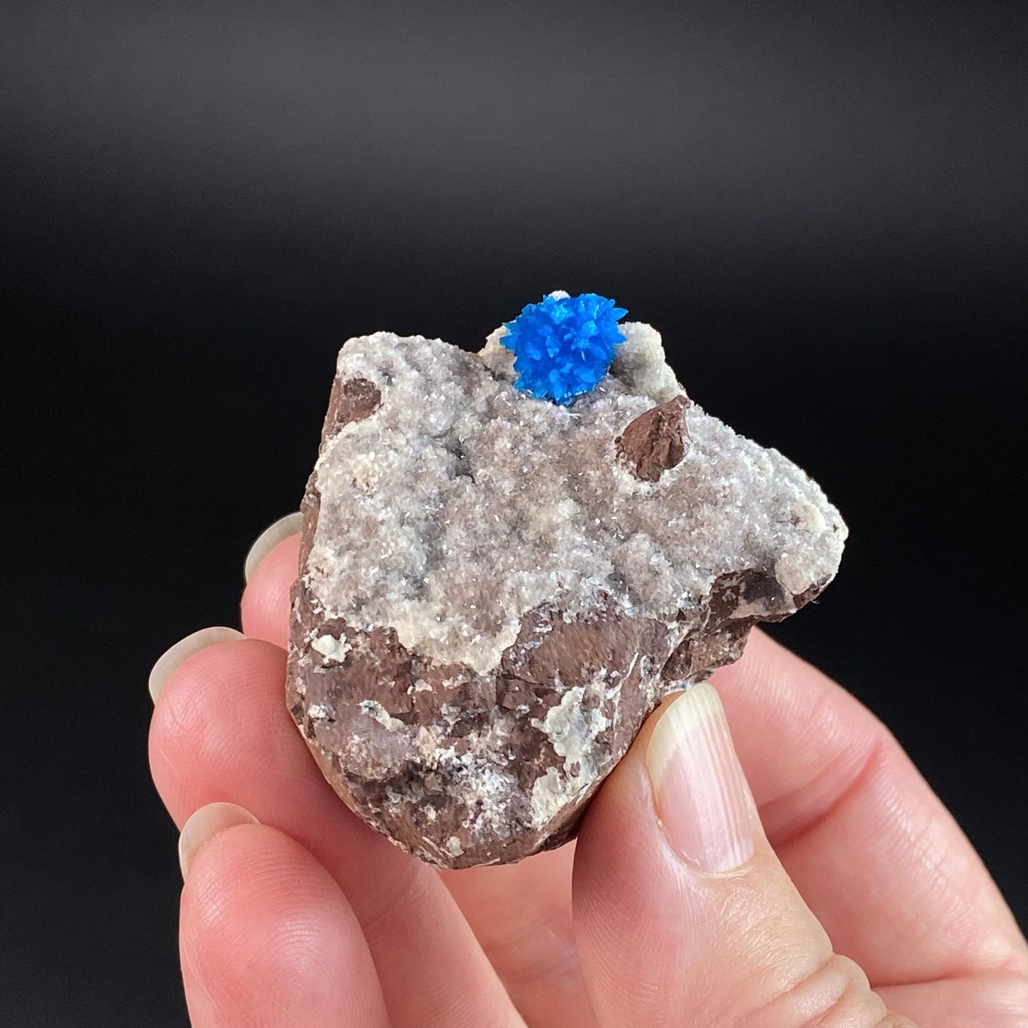 Vibrant Blue Cavansite Cluster on Druzy Stilbite & Basalt Matrix