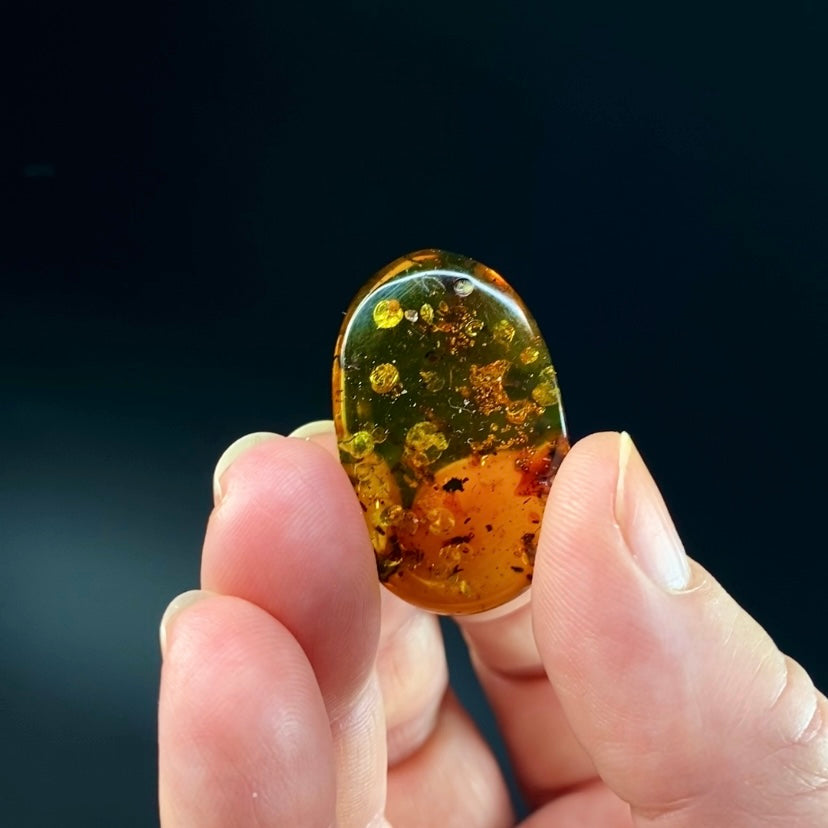 Polished Amber with Inclusions from Cimitarra, Colombia