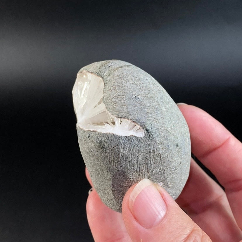Radiating Scolecite Crystals with Mordenite in Trimmed Basalt Pocket